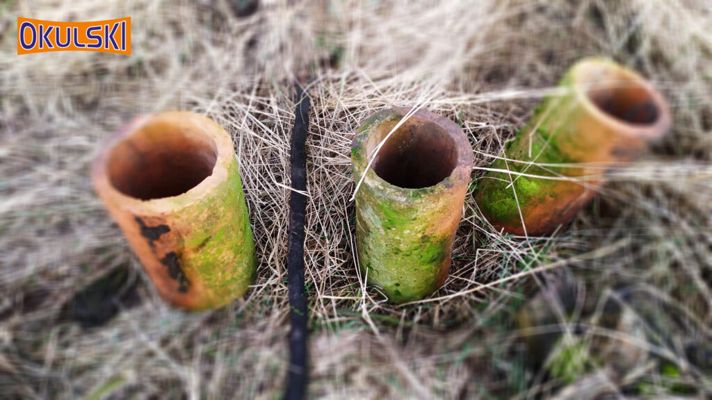 3 pochłonięte przez naturę rury odpływowe w buku, niedaleko Stęszewa, 9 km od Opalenicy, 50 min od Nowego Tomyśla